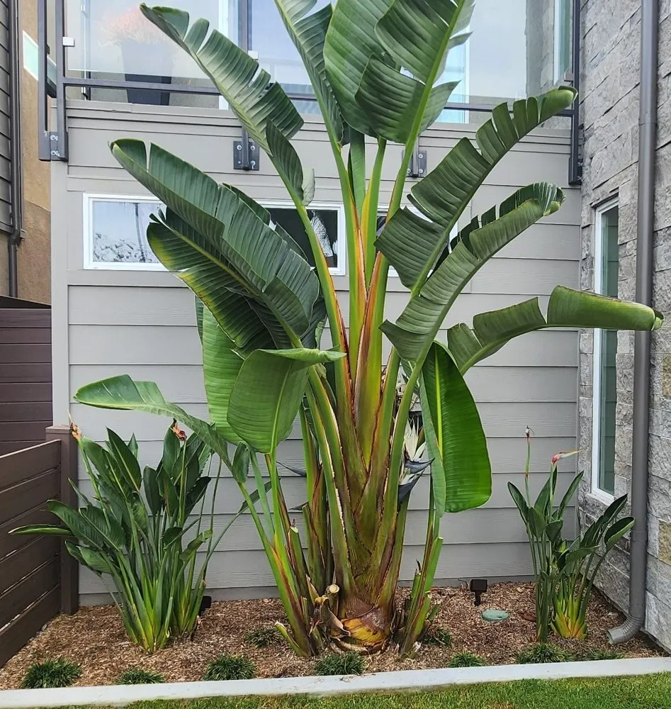 Local lawn care service in Corona, CA - Yard Techs