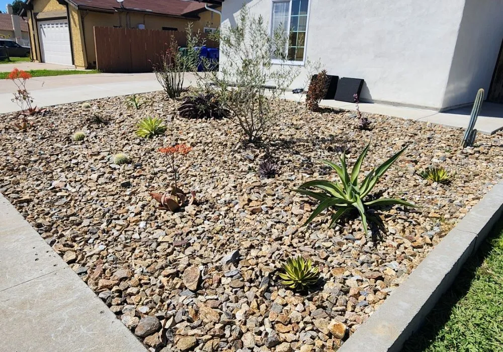 Reliable lawn mowing service in Corona, CA by Yard Techs