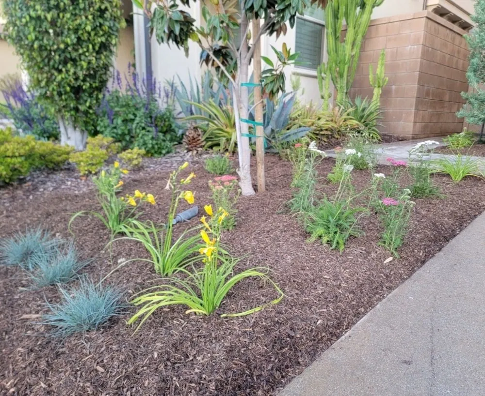 Professional garden landscaping experts serving Corona, CA - Yard Techs