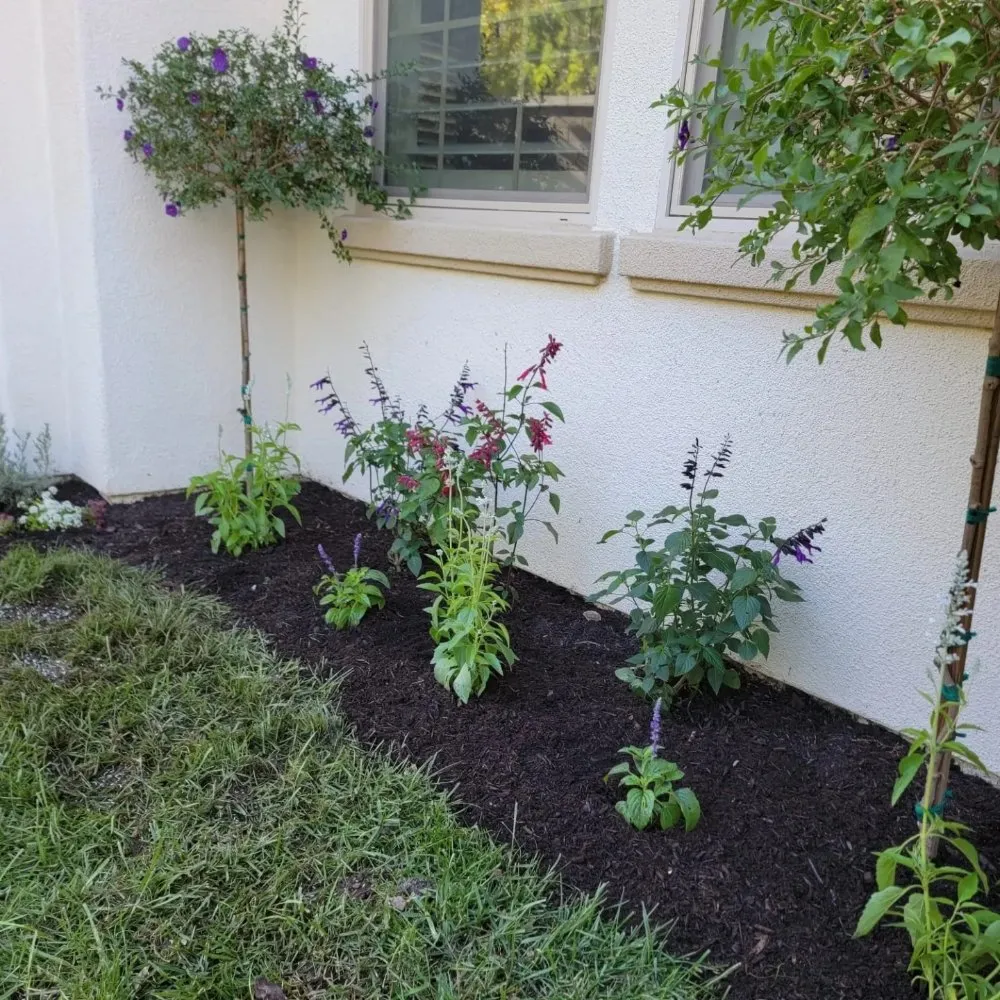 Professional landscape installation for homes across Corona, CA - Yard Techs