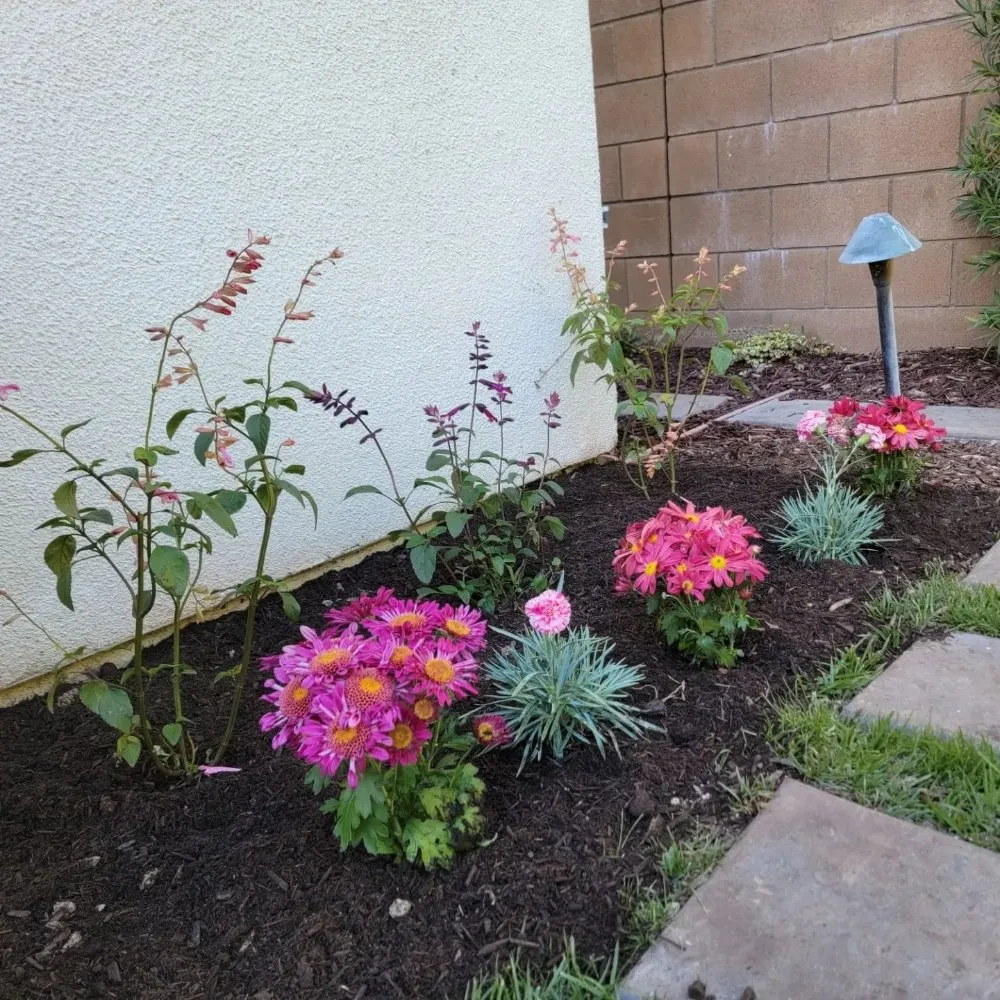 Top-rated outdoor landscaping for beautiful yards in Corona, CA by Yard Techs