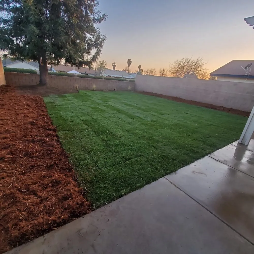 Reliable landscape design in Encinitas, CA by Yard Techs