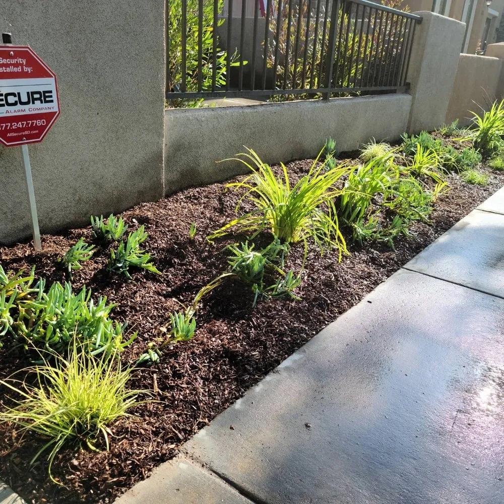 Custom garden landscaping for beautiful yards in Encinitas, CA by Yard Techs