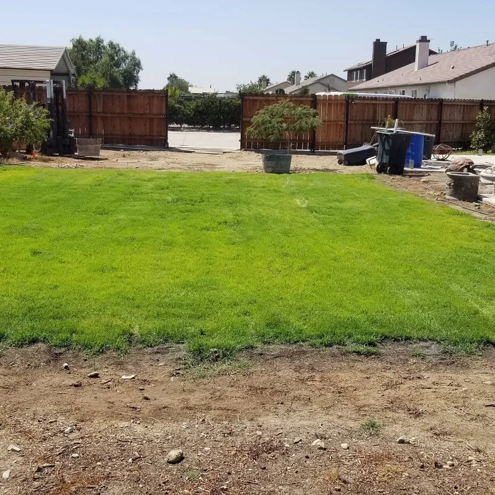 Affordable landscaping services in Encinitas, CA by Yard Techs