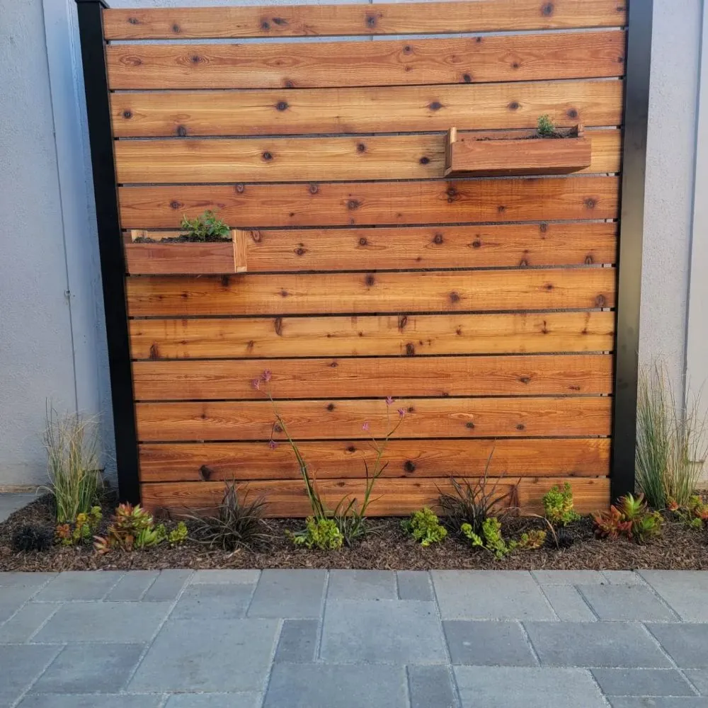 Affordable yard cleanup service in Encinitas, CA by Yard Techs