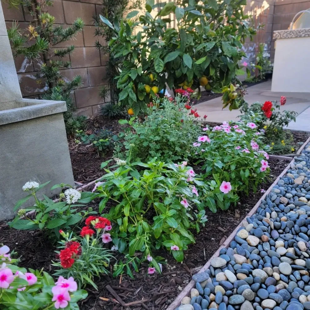 Custom residential landscaping experts serving Irvine, CA - Yard Techs