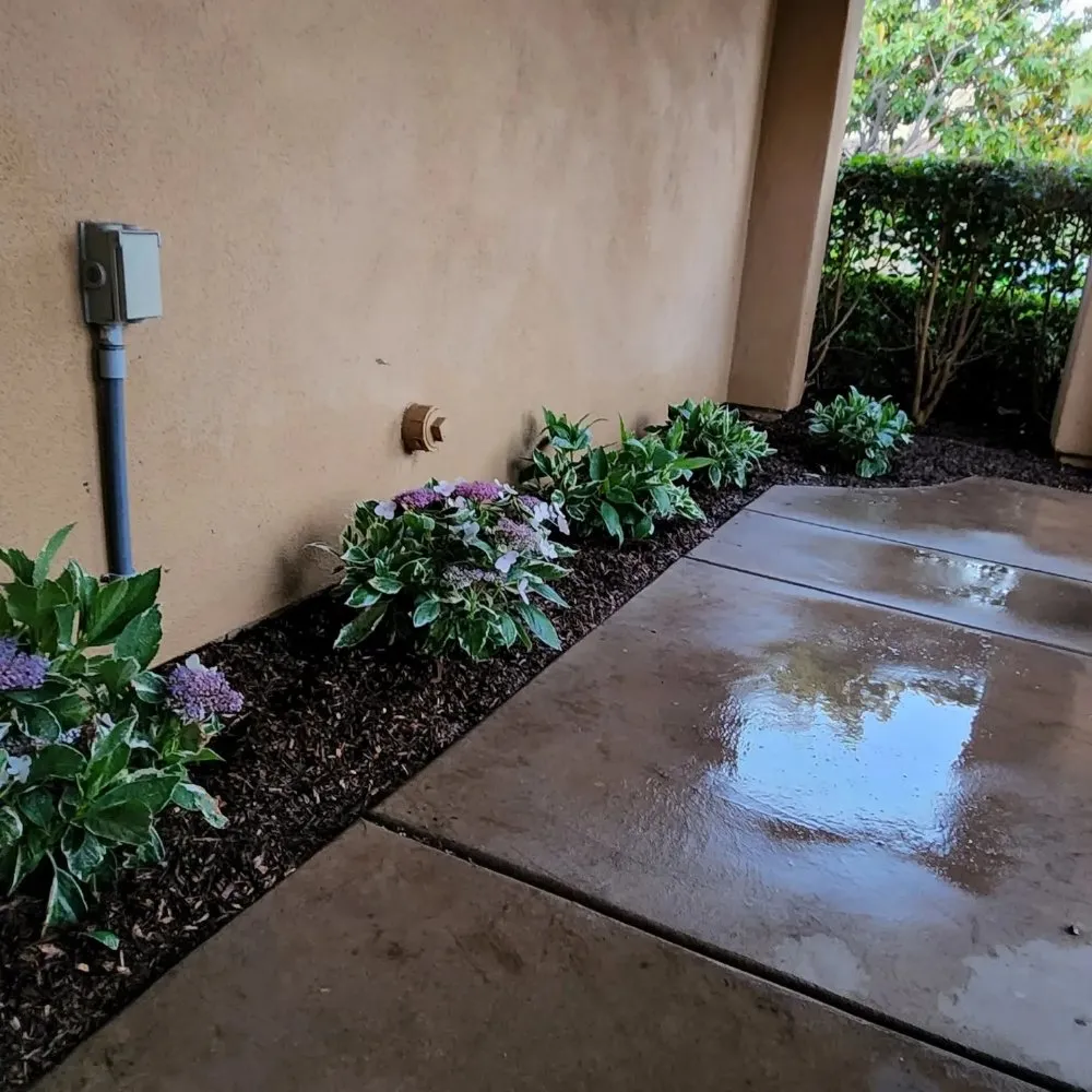 Professional garden landscaping experts serving Irvine, CA - Yard Techs