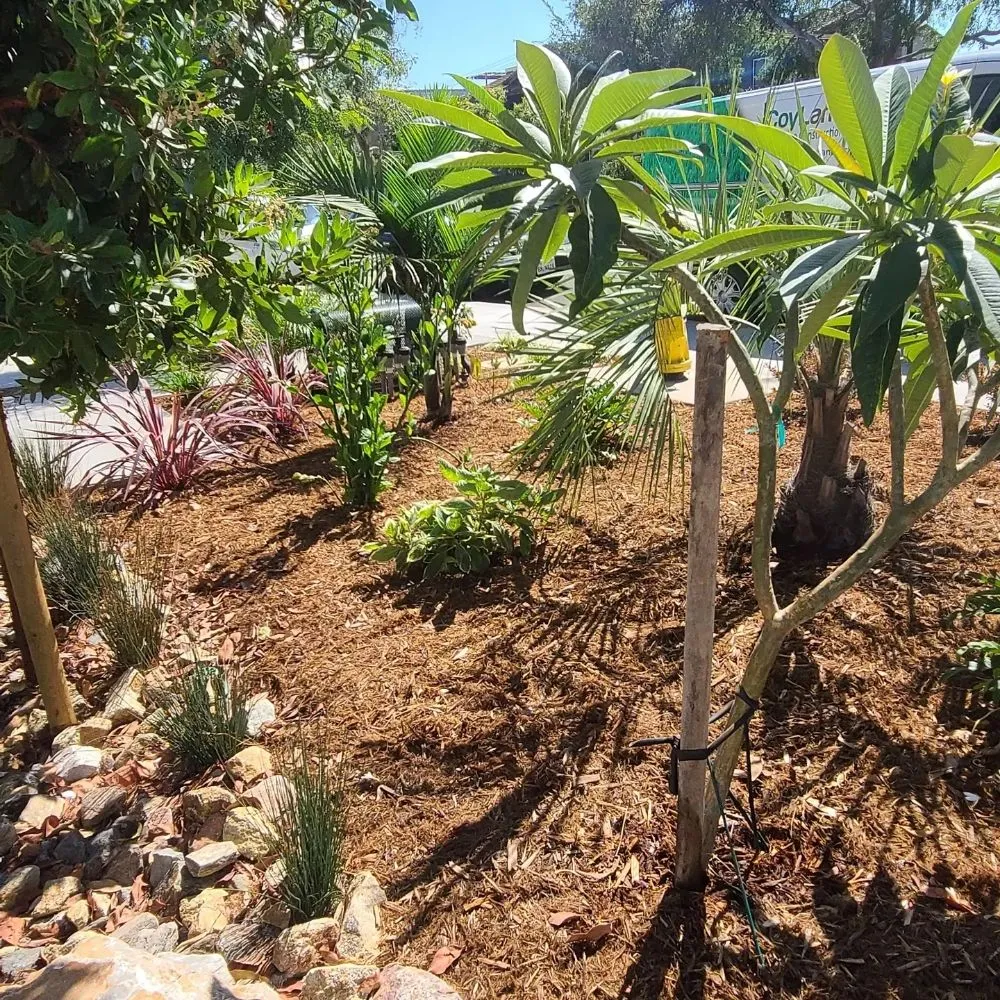 Professional yard maintenance with custom design in Irvine, CA by Yard Techs