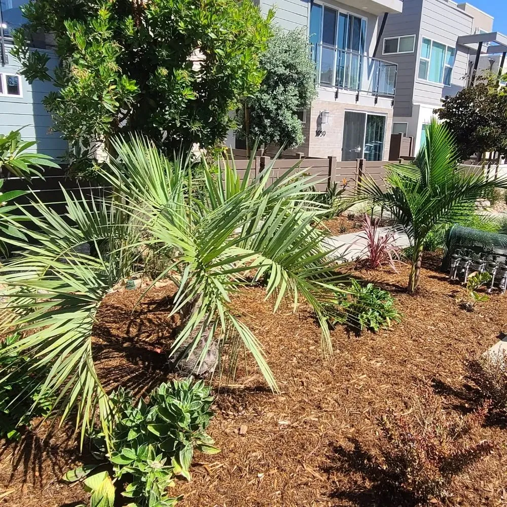 Local yard cleanup service in Irvine, CA by Yard Techs