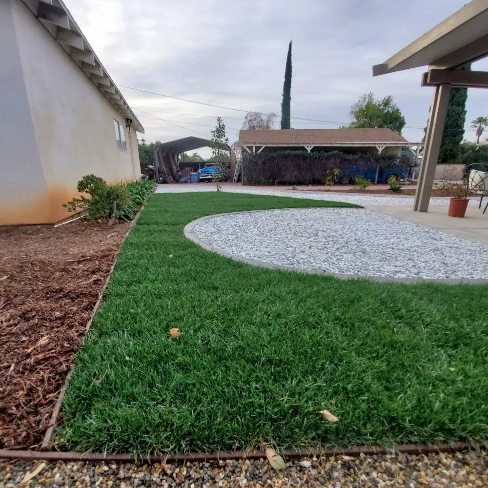 Trusted lawn mowing service in Irvine, CA by Yard Techs