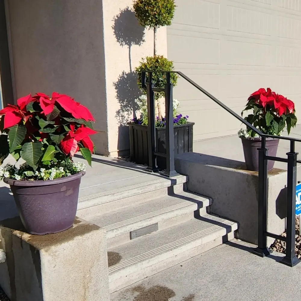 Reliable yard cleanup service experts serving Irvine, CA - Yard Techs