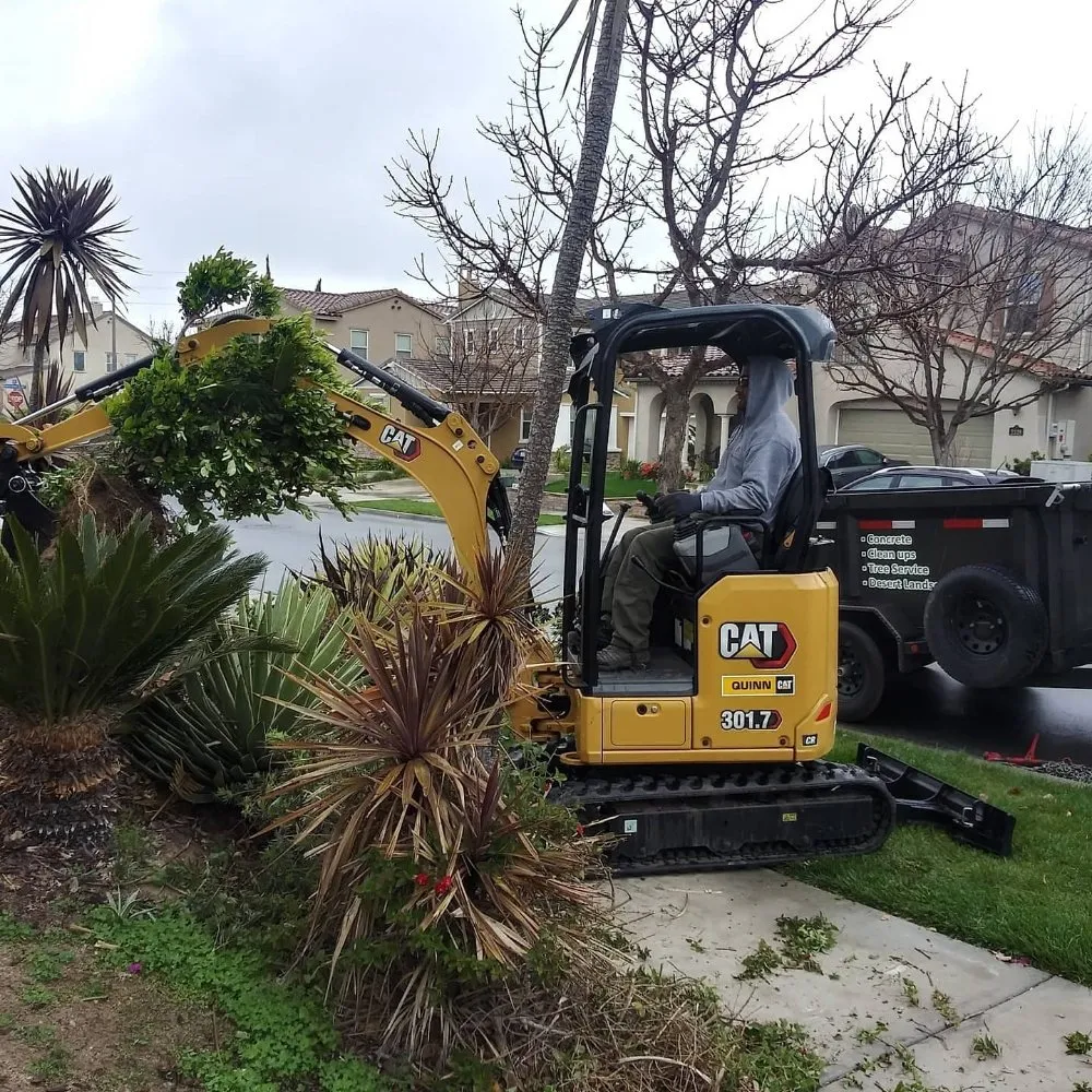 Professional yard maintenance with custom design in Irvine, CA by Yard Techs