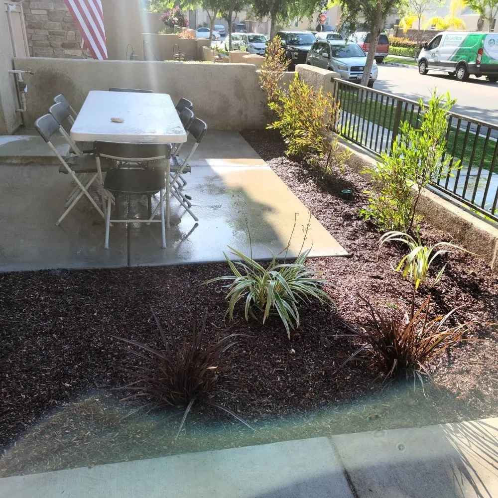 Expert yard cleanup service experts serving Irvine, CA - Yard Techs