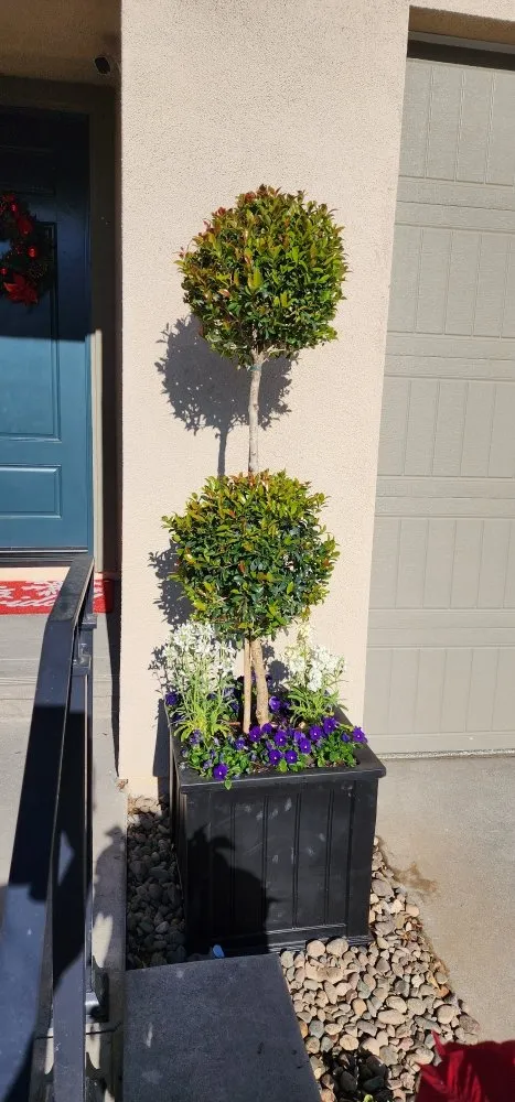 Local garden landscaping for year-round maintenance in Irvine, CA by Yard Techs