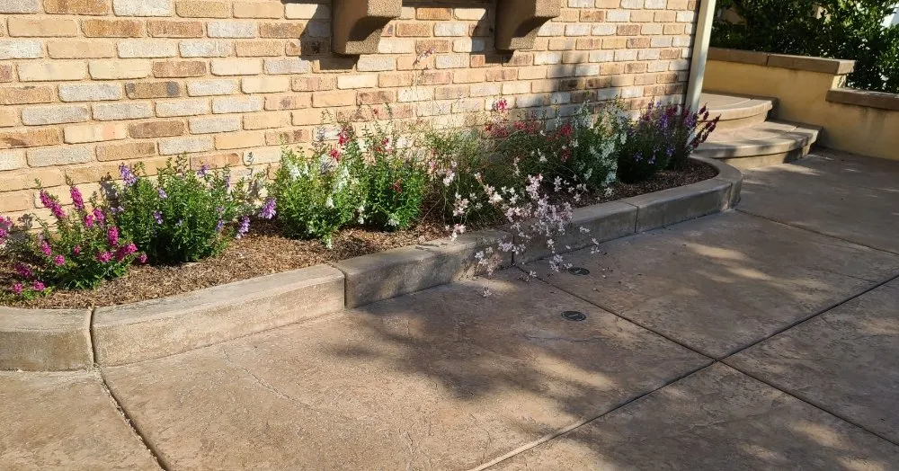 Local residential landscaping in Irvine, CA by Yard Techs