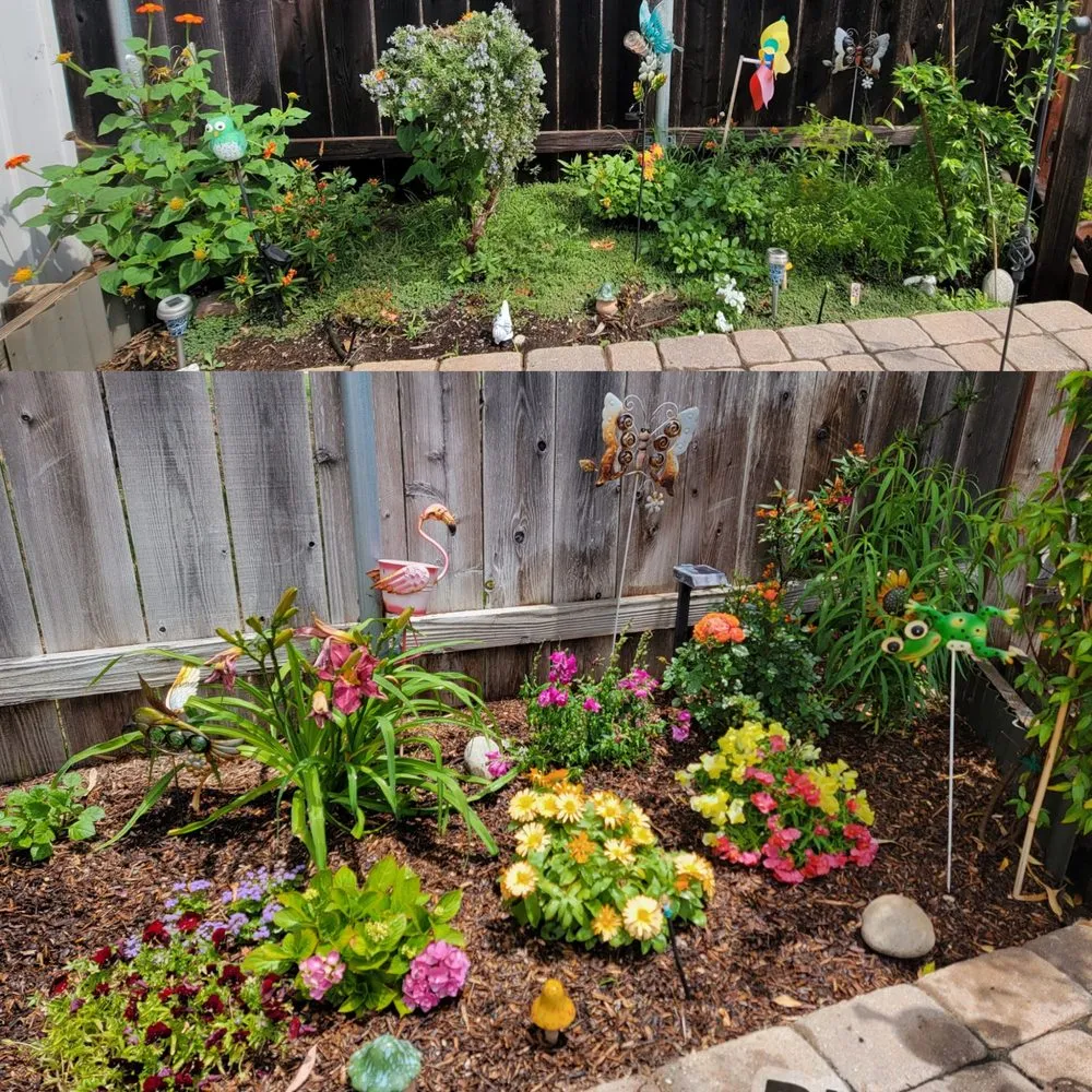 Expert garden landscaping with custom design across San Diego, CA - Yard Techs