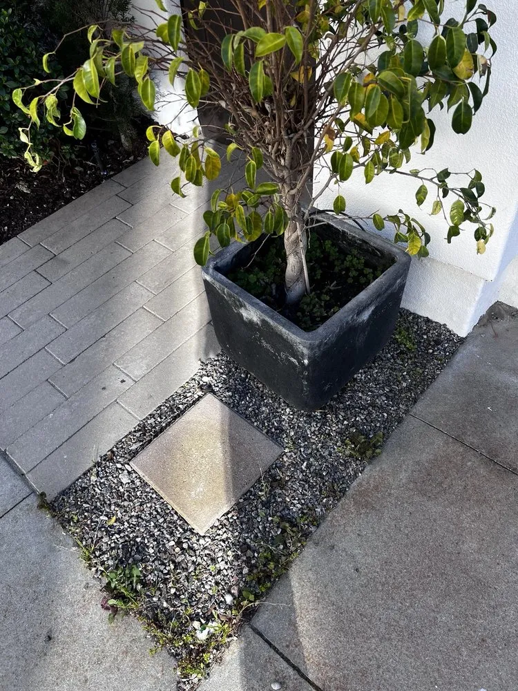 Trusted landscape design in San Diego, CA by Yard Techs