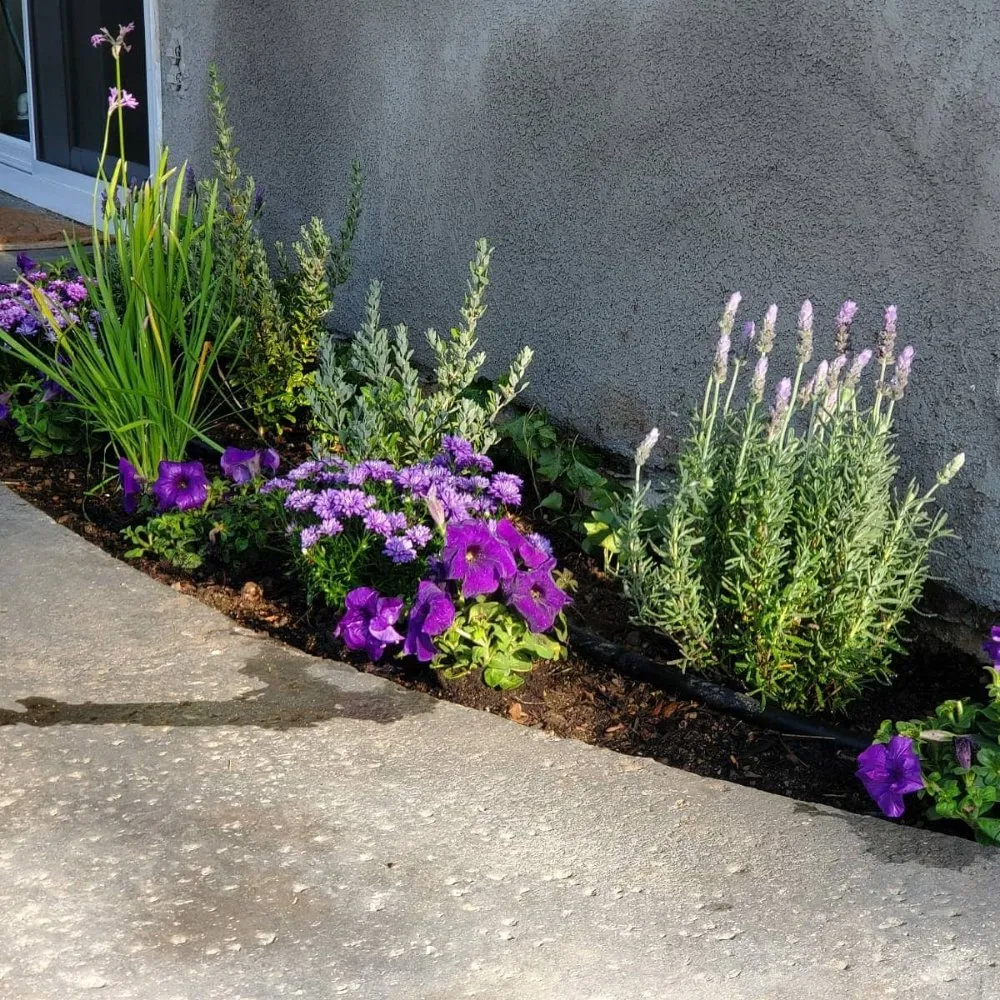 Trusted garden landscaping for beautiful yards in San Diego, CA by Yard Techs