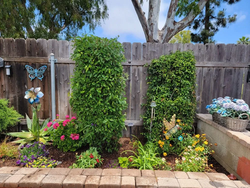 Affordable landscape installation in San Diego, CA - Yard Techs