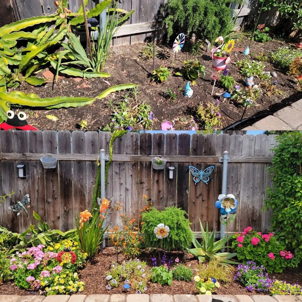 Expert garden landscaping for outdoor upgrades across San Diego, CA - Yard Techs