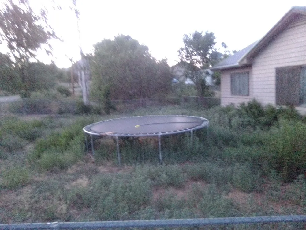 Expert yard cleanup service in Durango, CO - YARD TENDERS