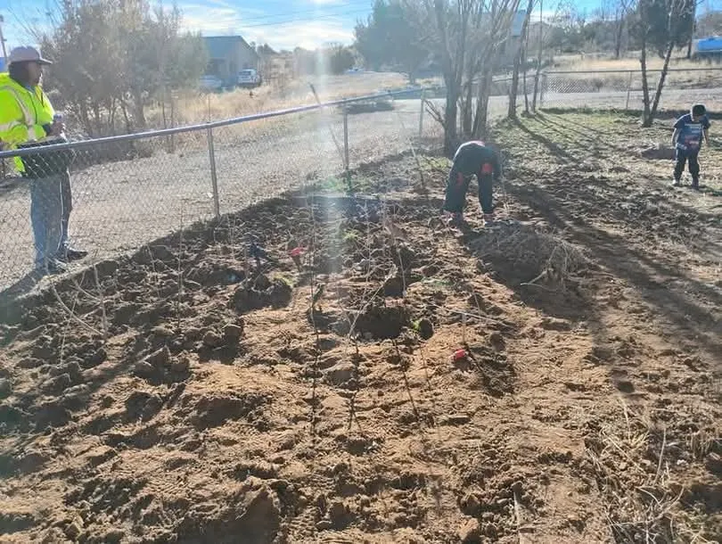 Reliable residential landscaping experts serving Durango, CO - YARD TENDERS