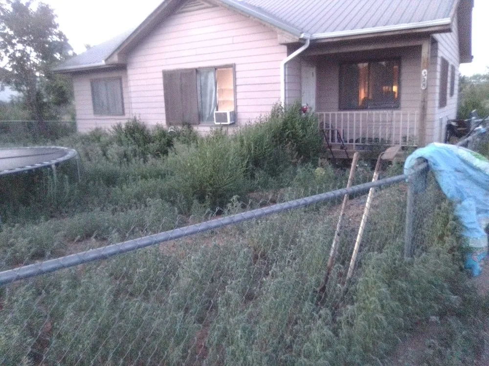 Reliable landscape design near you across Durango, CO - YARD TENDERS