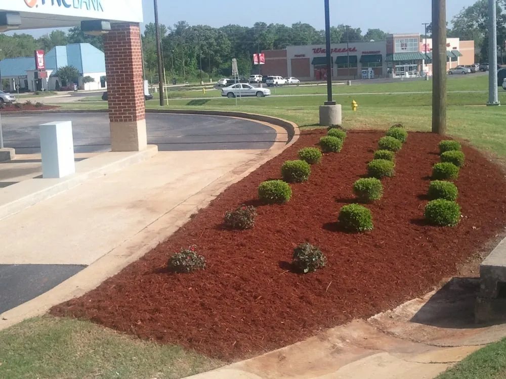 Affordable yard cleanup service with custom design across Wetumpka, AL - Yard Therapy