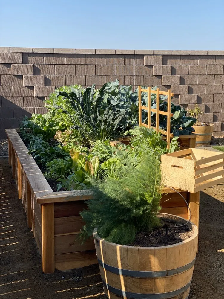 Professional garden landscaping in Sacramento, CA by Yard to Fork