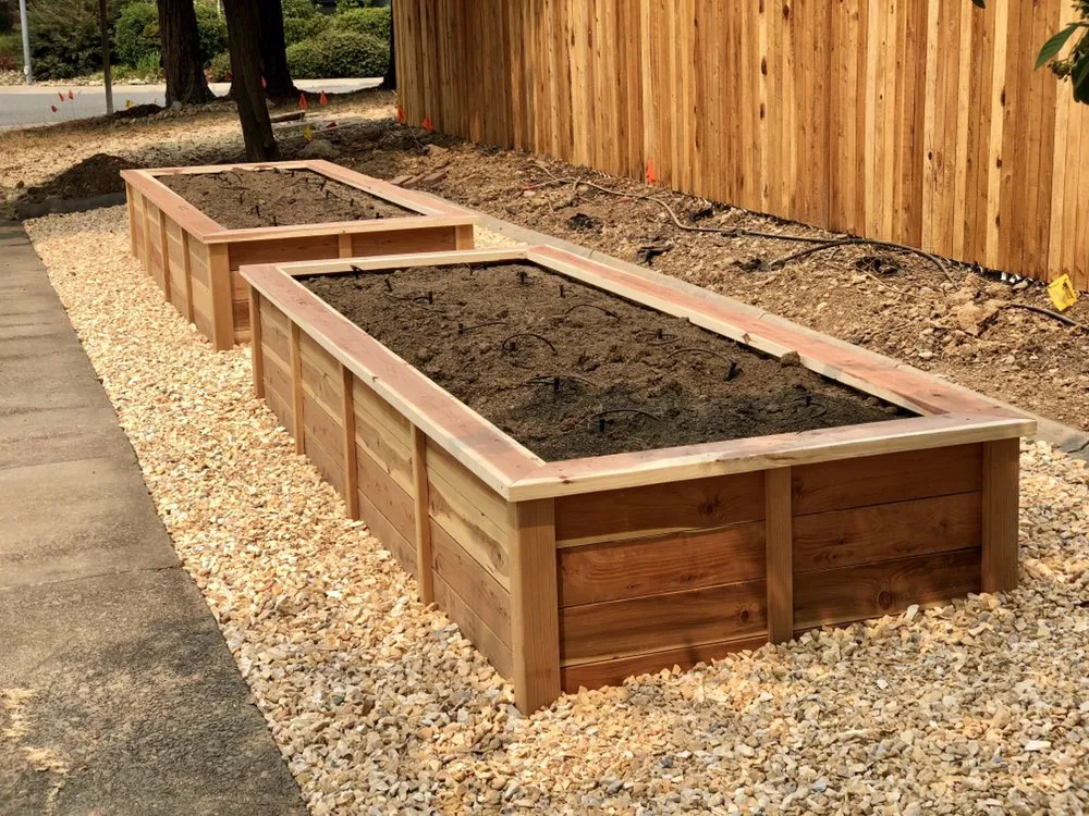 Trusted yard maintenance experts serving Sacramento, CA - Yard to Fork