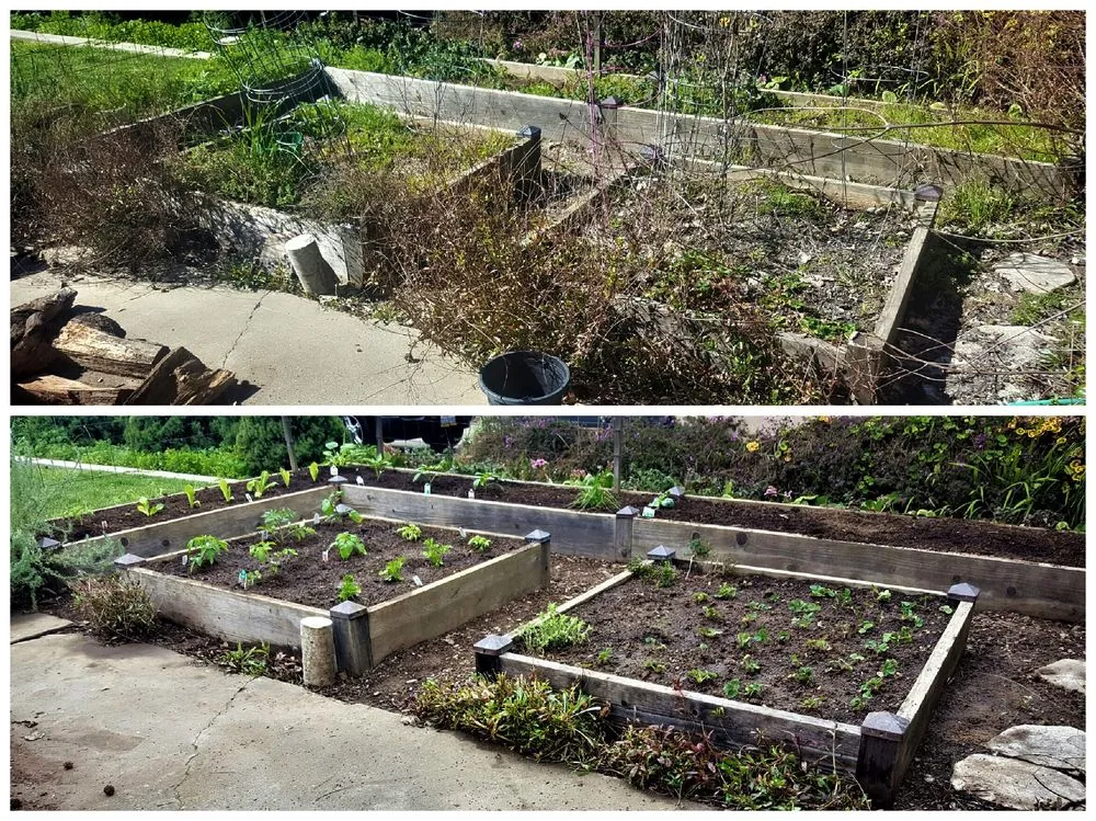 Expert landscape installation experts serving Sacramento, CA - Yard to Fork