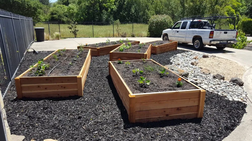 Local residential landscaping experts serving Sacramento, CA - Yard to Fork