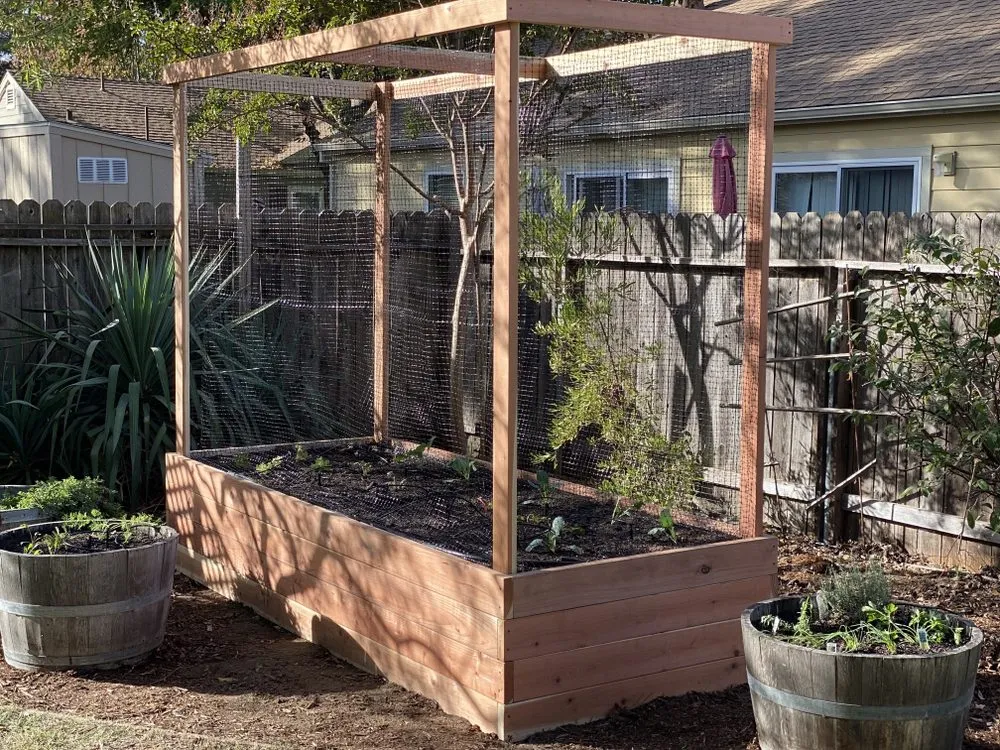 Local landscape design in Sacramento, CA by Yard to Fork