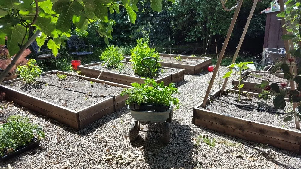 Custom residential landscaping experts serving Sacramento, CA - Yard to Fork