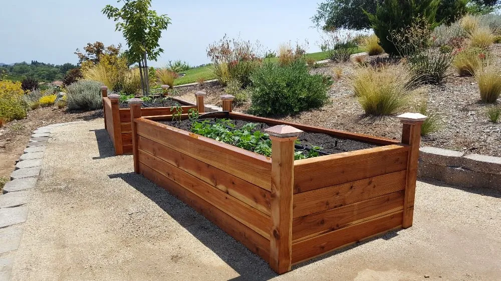 Top-rated lawn care service in Sacramento, CA - Yard to Fork