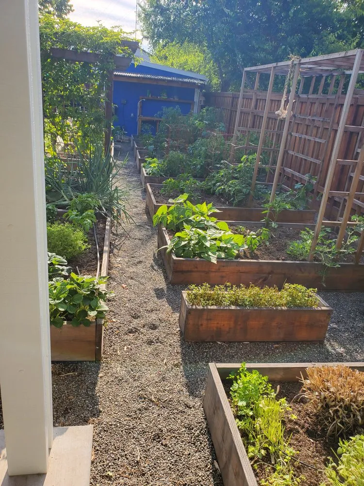 Professional landscape installation in Sacramento, CA - Yard to Fork