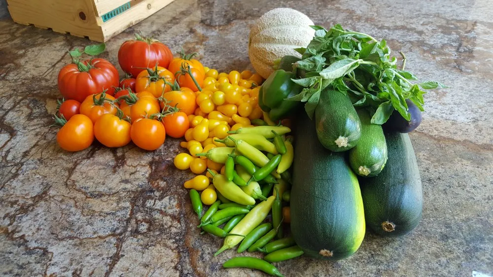 Professional lawn mowing service with custom design across Sacramento, CA - Yard to Fork