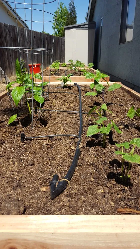 Professional lawn mowing service for beautiful yards across Sacramento, CA - Yard to Fork