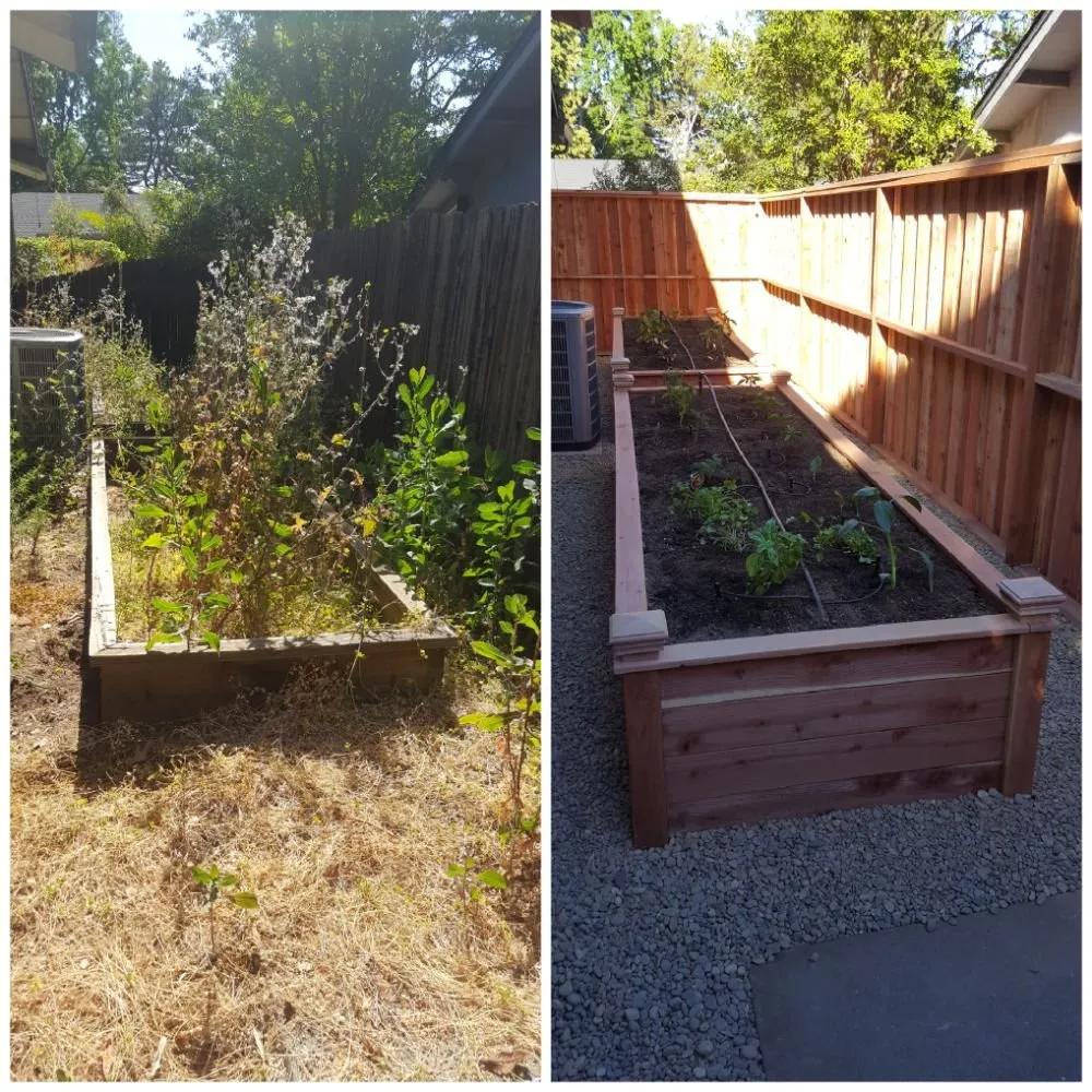 Professional lawn care service in Sacramento, CA by Yard to Fork