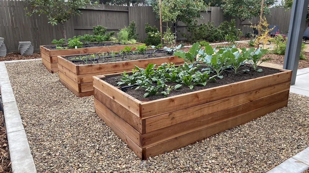 Top-rated landscaping services in Sacramento, CA - Yard to Fork