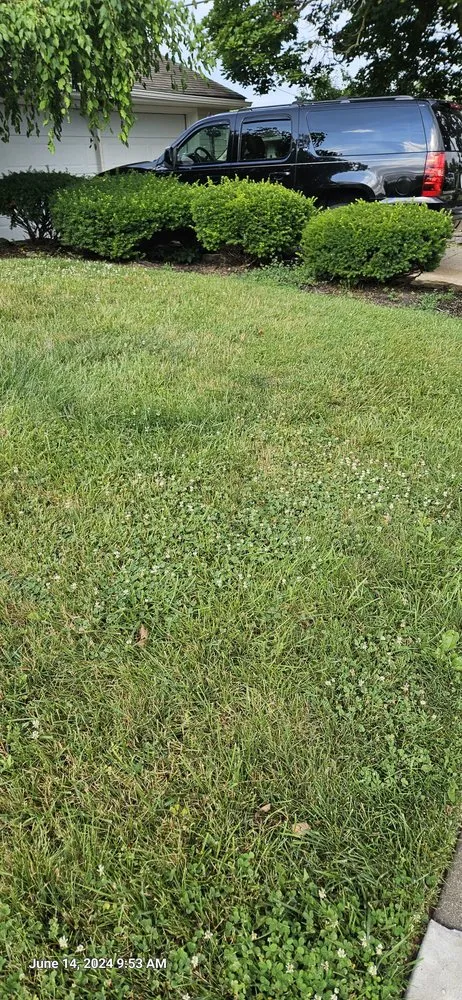 Trusted outdoor landscaping in Fairfield, OH - Yard to Yard Lawn Care Landscaping