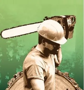 Custom outdoor landscaping for outdoor upgrades in Vail, AZ by Yard Tree Landscaping & Hauling Services