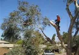 Local landscape design for residential properties in Vail, AZ by Yard Tree Landscaping & Hauling Services