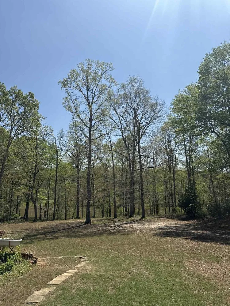 Affordable yard maintenance in McDonough, GA - Yard Trim