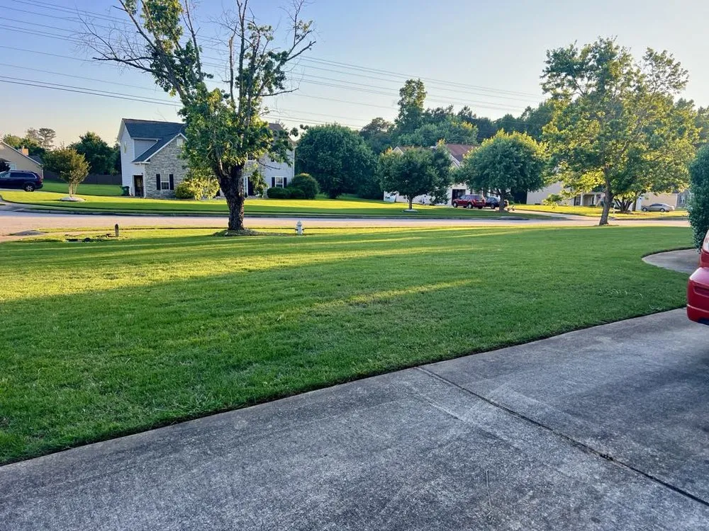 Custom yard cleanup service for outdoor upgrades in McDonough, GA by Yard Trim