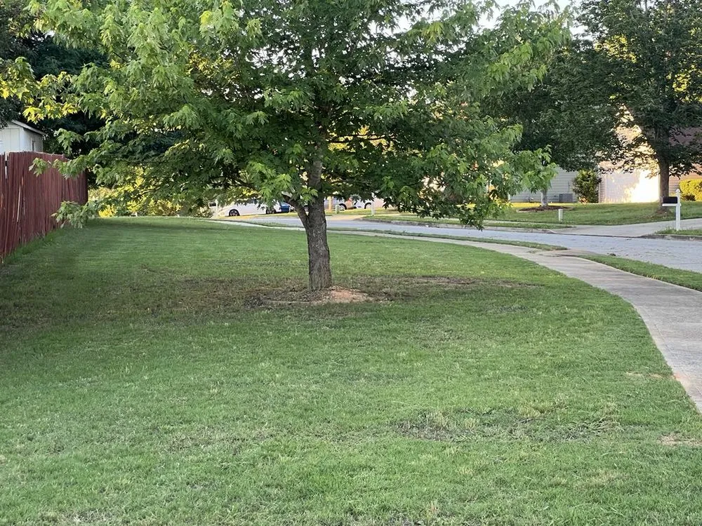 Professional lawn mowing service experts serving McDonough, GA - Yard Trim