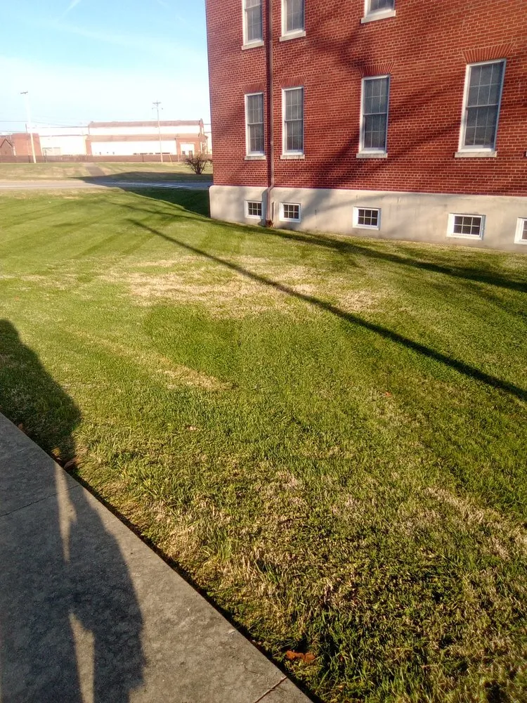 Affordable landscape installation for year-round maintenance across Radcliff, KY - Yard Vikings