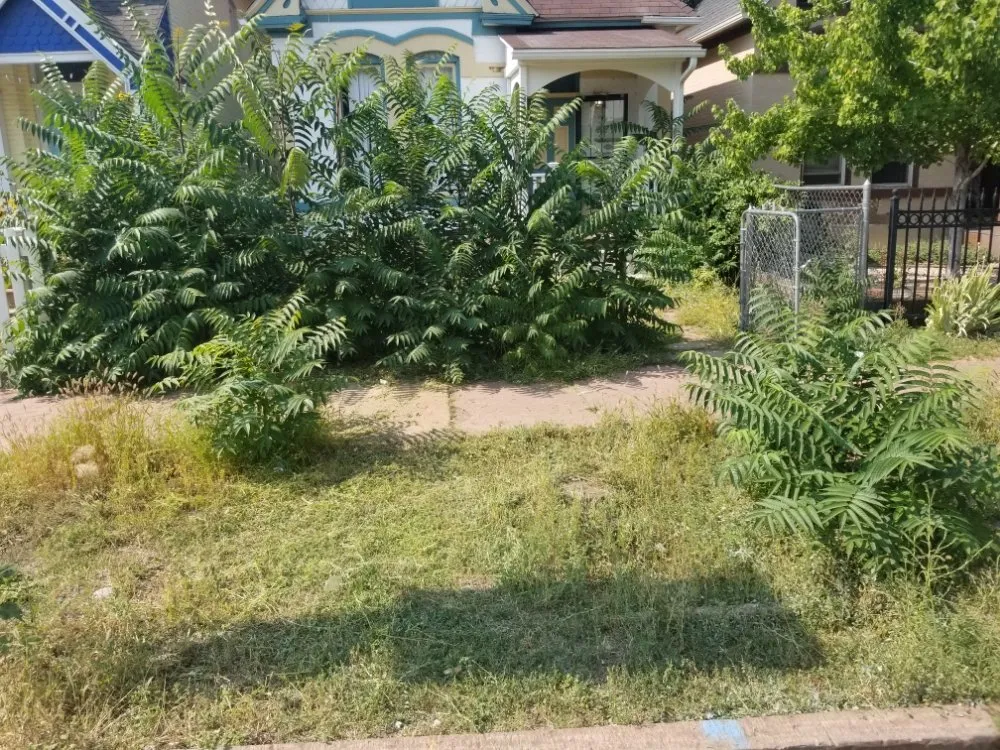 Expert landscape installation for homes across Denver, CO - Yard Warriors