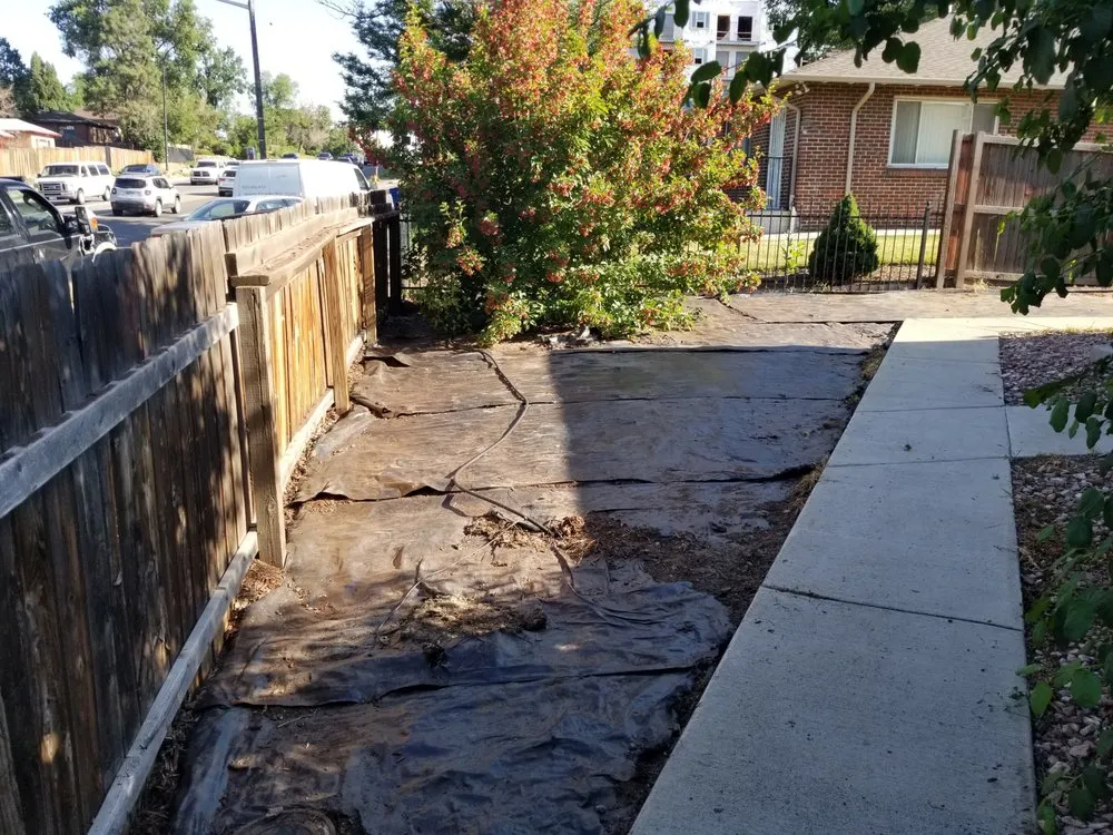 Expert yard maintenance for outdoor upgrades across Denver, CO - Yard Warriors