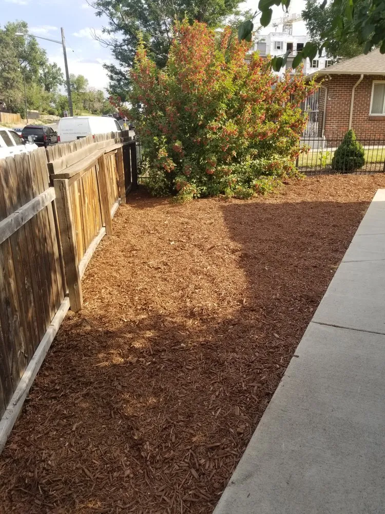 Custom landscape design for outdoor upgrades in Denver, CO by Yard Warriors